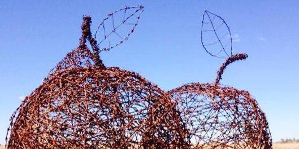 Barbed wire fruit sculpture