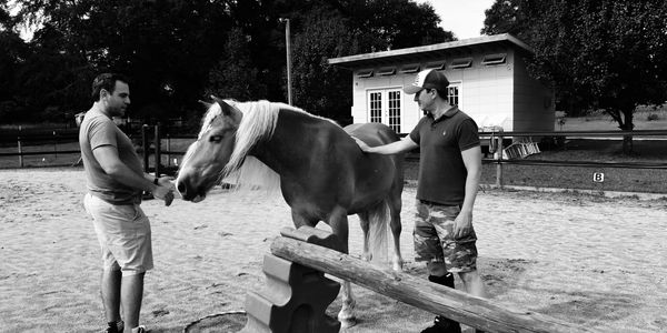 two vice presidents with a horse in an arena during leadership development workshop in greenville 