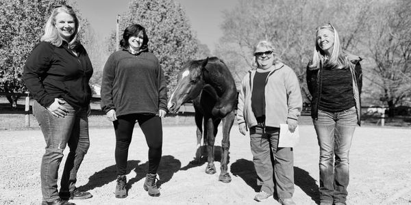 leadership team building workshops with unbridled horses