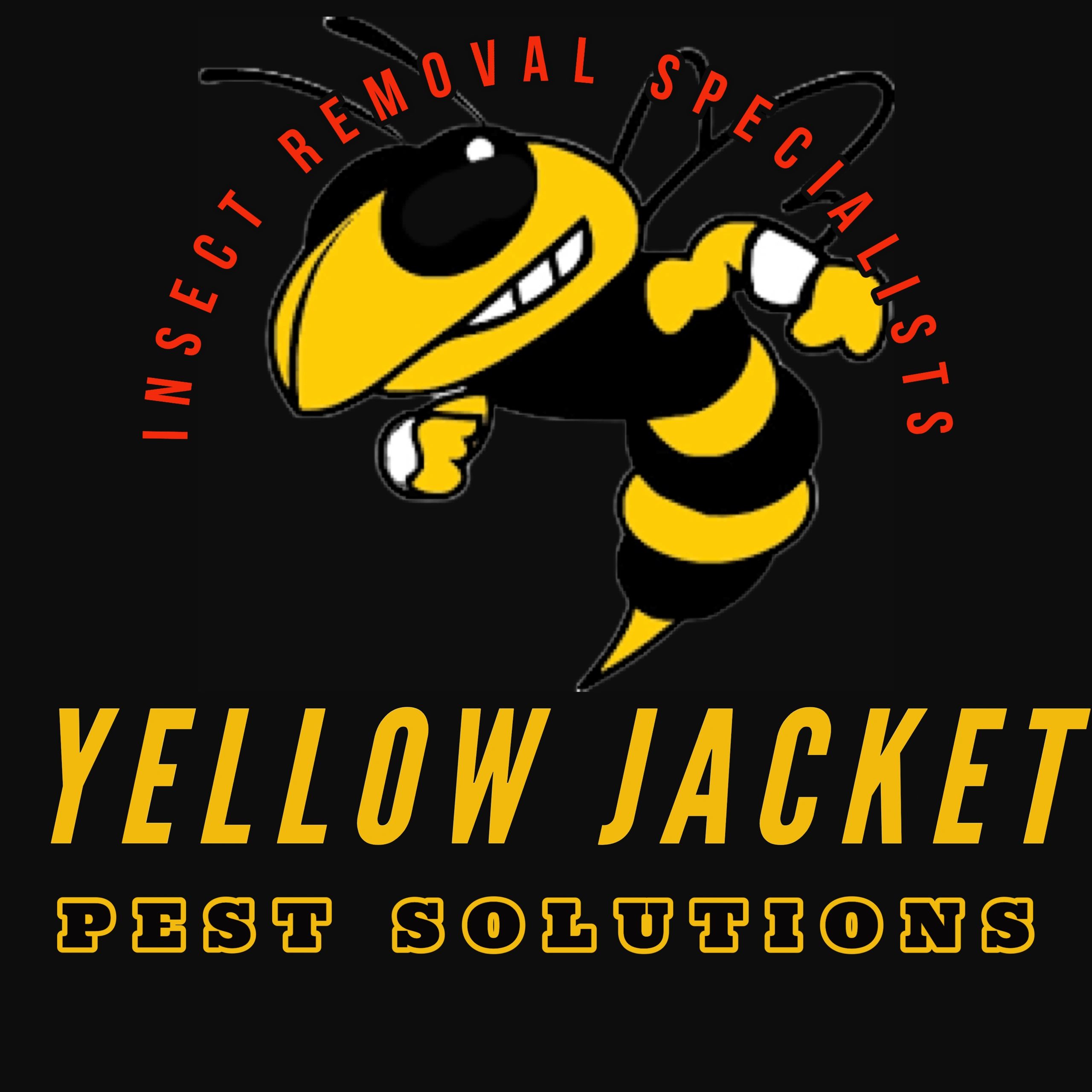 Yellow Jacket Pest Solutions