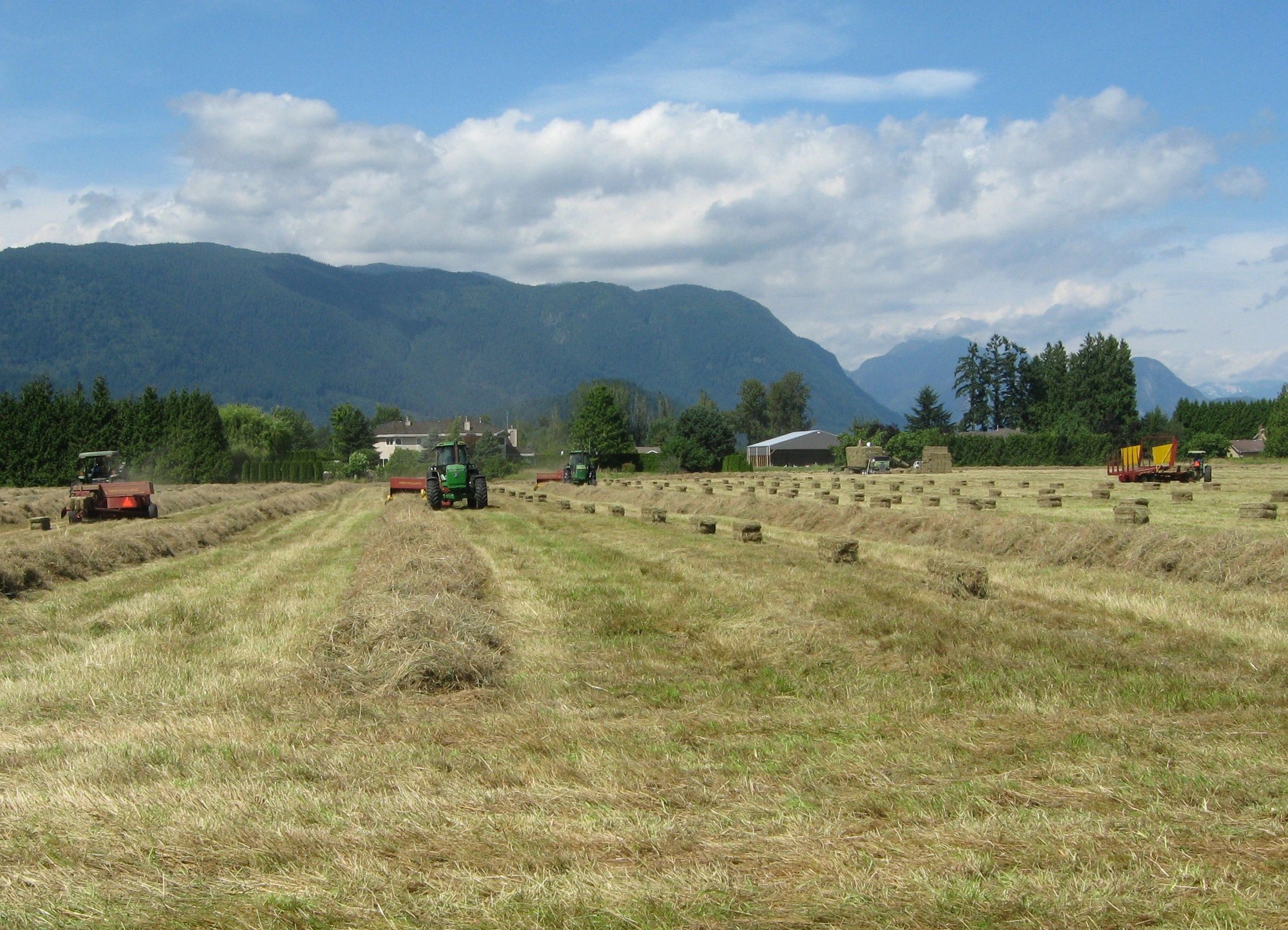 Ridge Meadows Farmers Institute