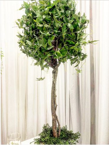 5FT GREENERY TREE