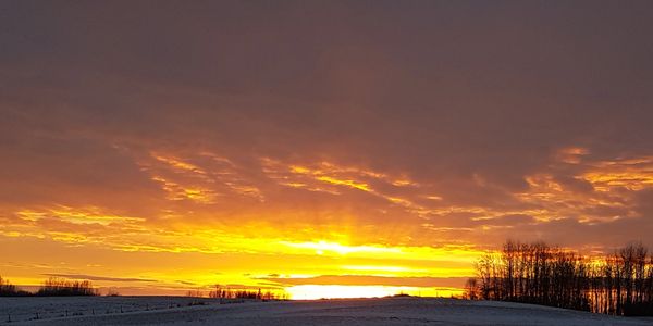 Sunrise on our Farm