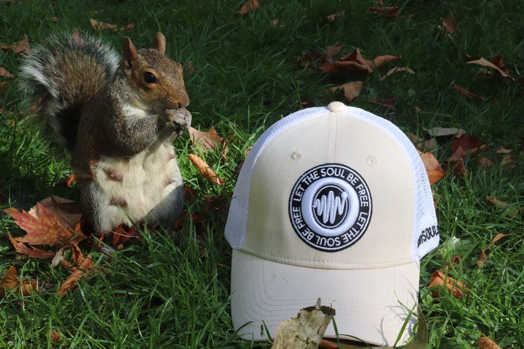 Squirrel eating a nut next to conSOULscious cap