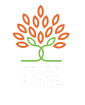 Collab Culture