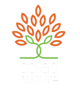 Collab Culture