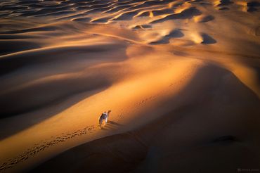 desert sunset photography  by ahmad alnaji professional landscape and architecture photograher