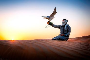 man holding falcon desert photo by ahmad alnaji professional landscape photographer based in dubai