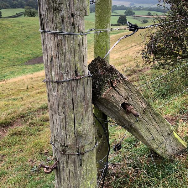 Weathered wooden fence posts with barbed wire in a rural landscape.