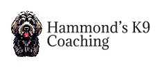 Hammond’s K9 Coaching