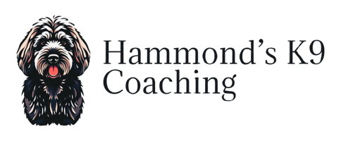 Hammond’s K9 Coaching
