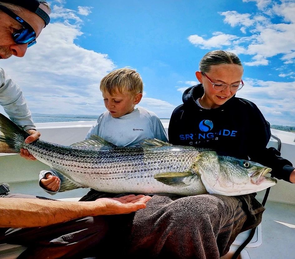 Spring Tide Charters Springtide Charters Maine