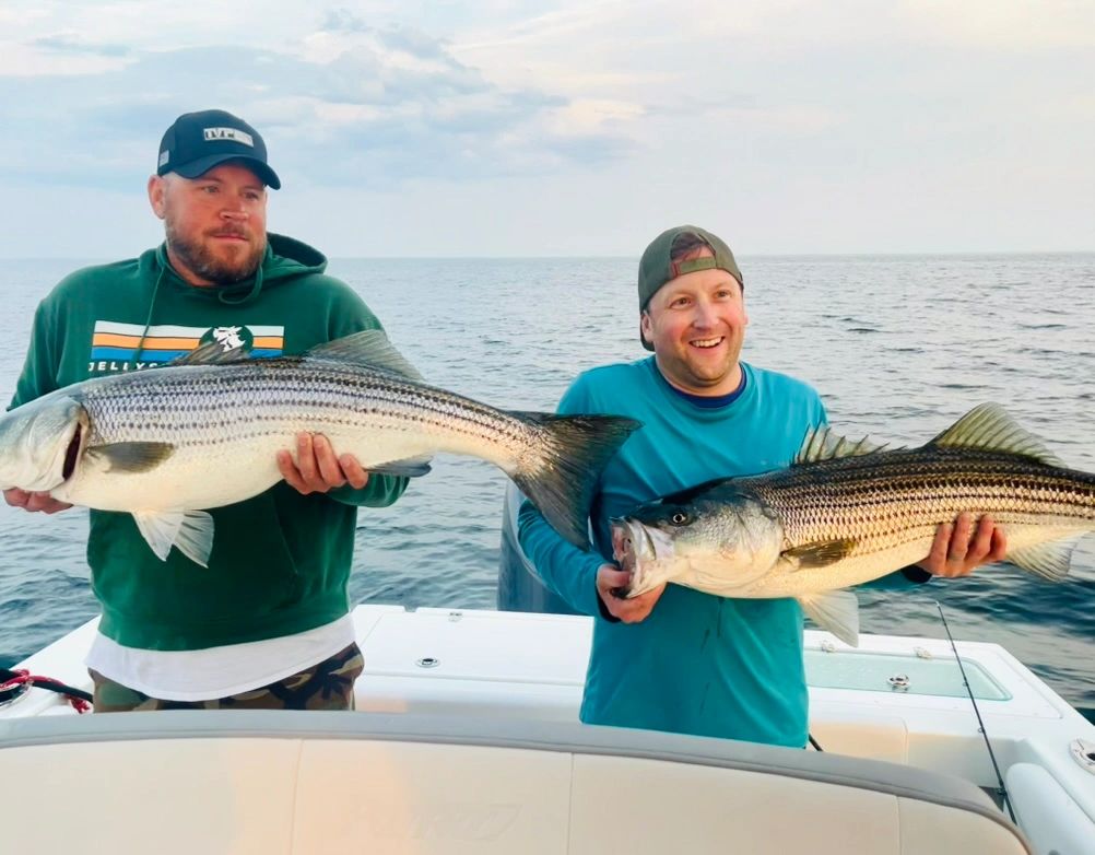 Spring Tide Charters Springtide Charters Maine