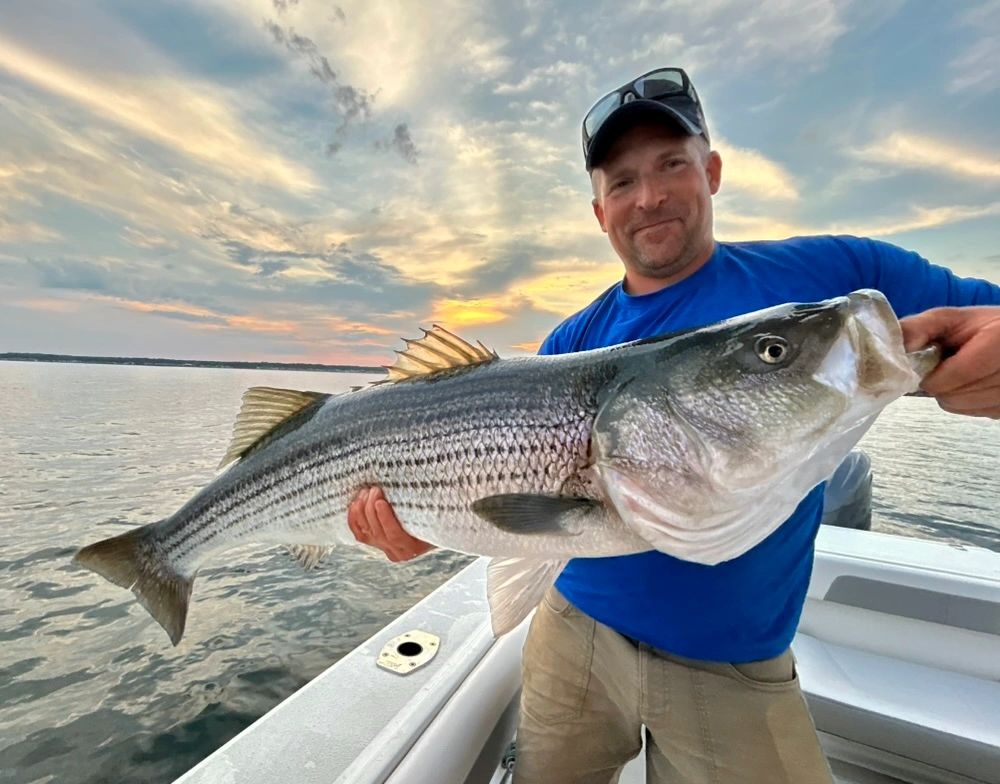 Spring Tide Charters Springtide Charters Maine