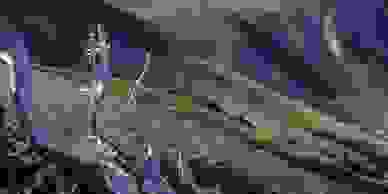 image354