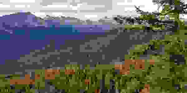 image556