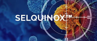 Selquinox cancer treatment targeting cells.