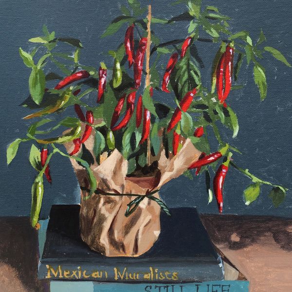 Red Chilli Plant