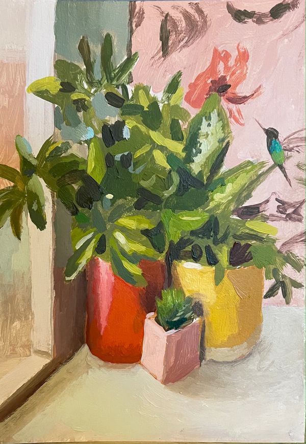 Pot Plant, postcard
