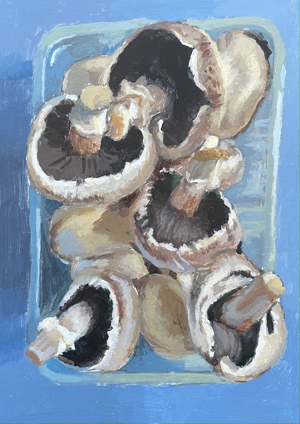 MUshrooms on a postcard