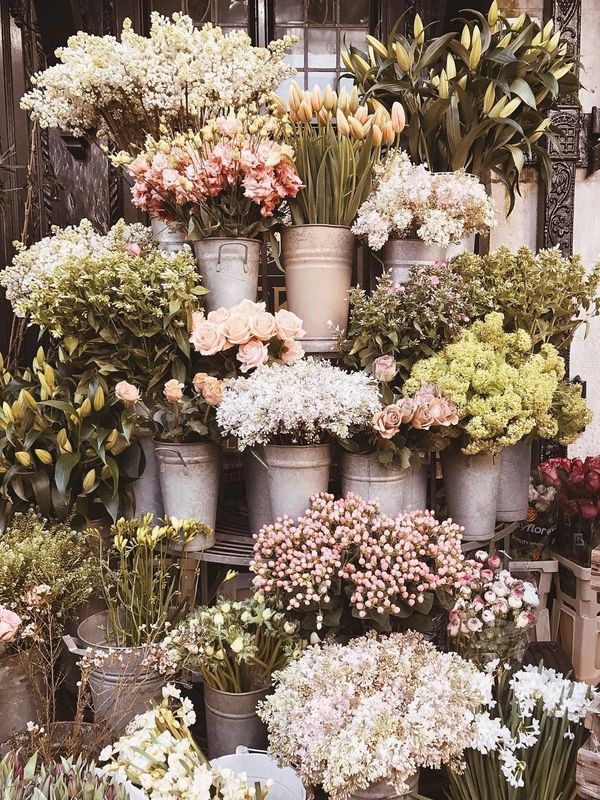 Flower stall, Friday Flowers!