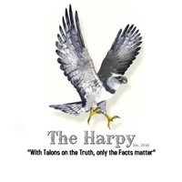 The Harpy Eagle Media