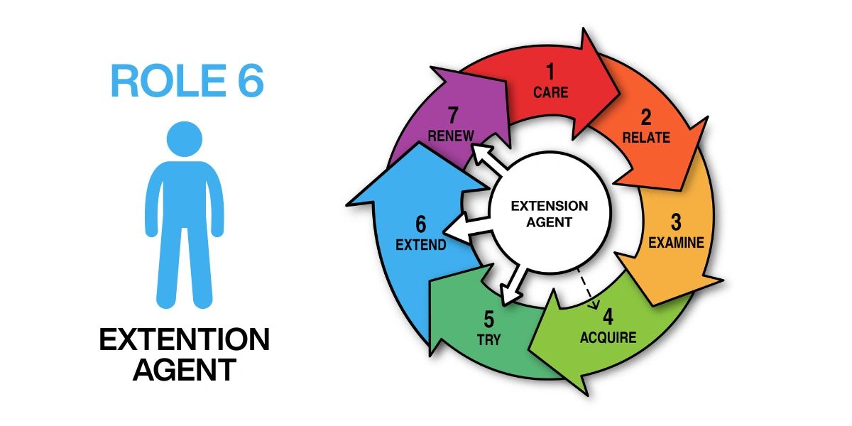 Graphic: Role 6 Extension Agent mapped to stages 5, 6 and 7 of the change cycle