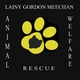 Lainy's Rescue