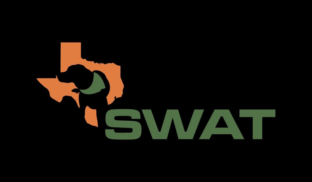 NACSW March 2025