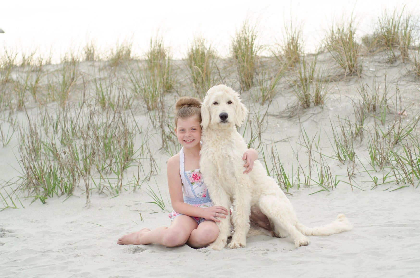 A young girl hugs a large cream-colored dog on a sandy beach with grass.