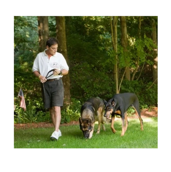 On and off leash, your dog(s) will look to you for direction. Have confidence in any situation. 
