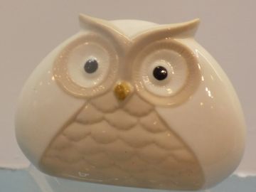 Large Owl