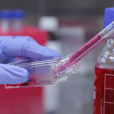 Cell culture Training Cell culture Training