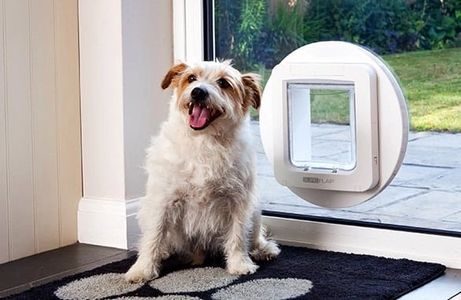 Dog flap by ClearChoice Windows, Doors & Glazing.