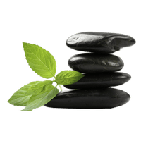 Tracey Lee  Counselling