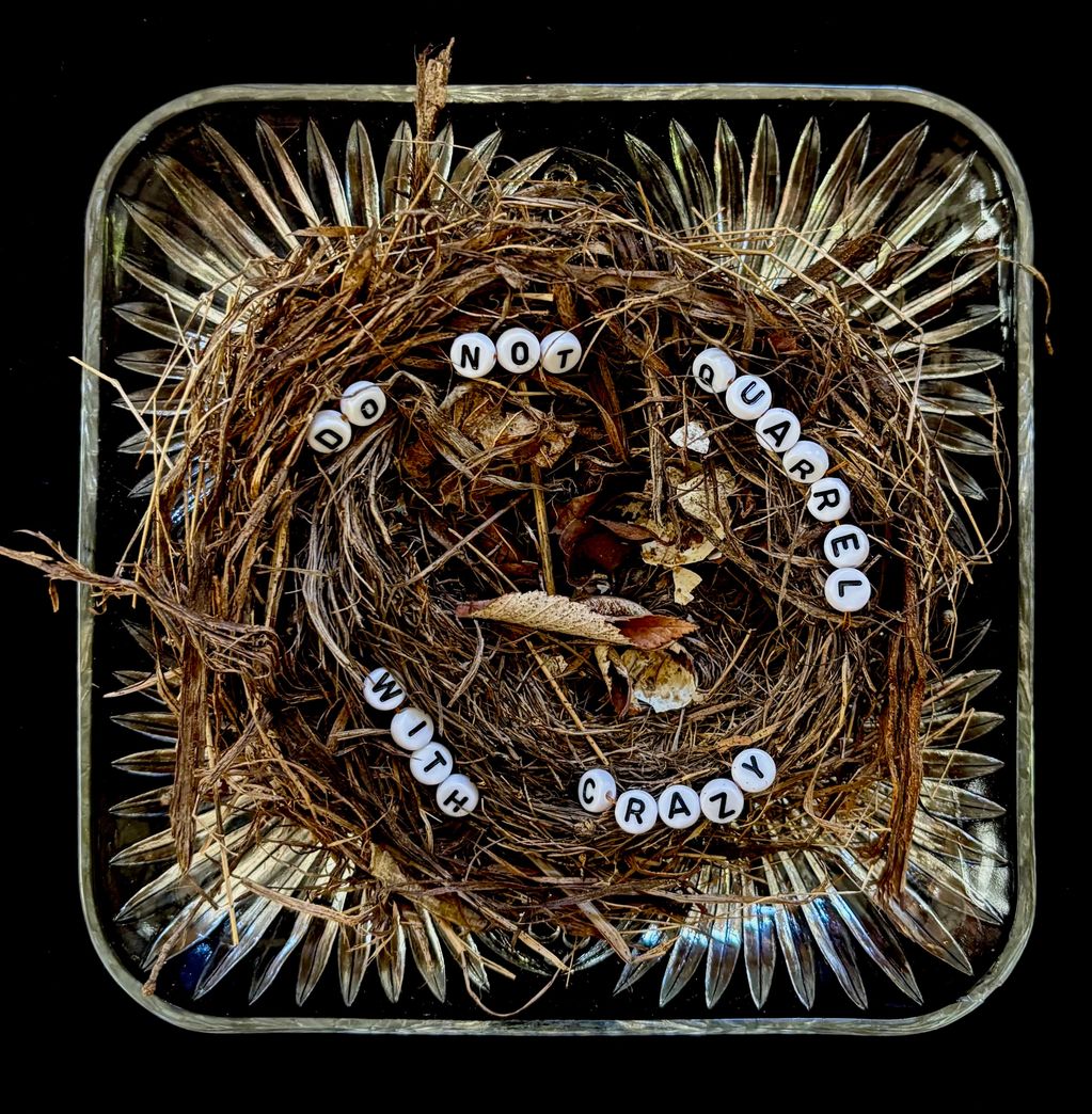 Beads spelling out "Do not quarrel with crazy" attached to a bird's nest in a glass bowl