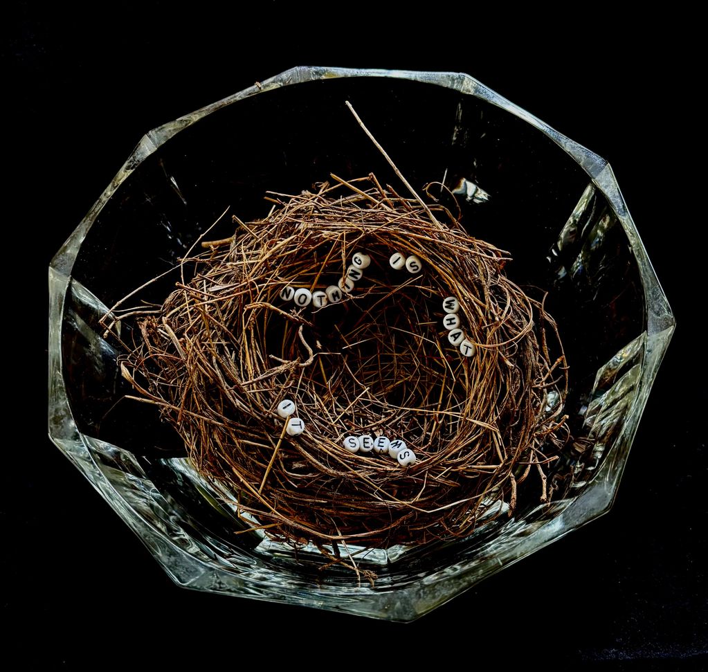 Plastic beads spelling out "Nothing Is What It Seems" sewn on to a bird's nest placed in a vintage g