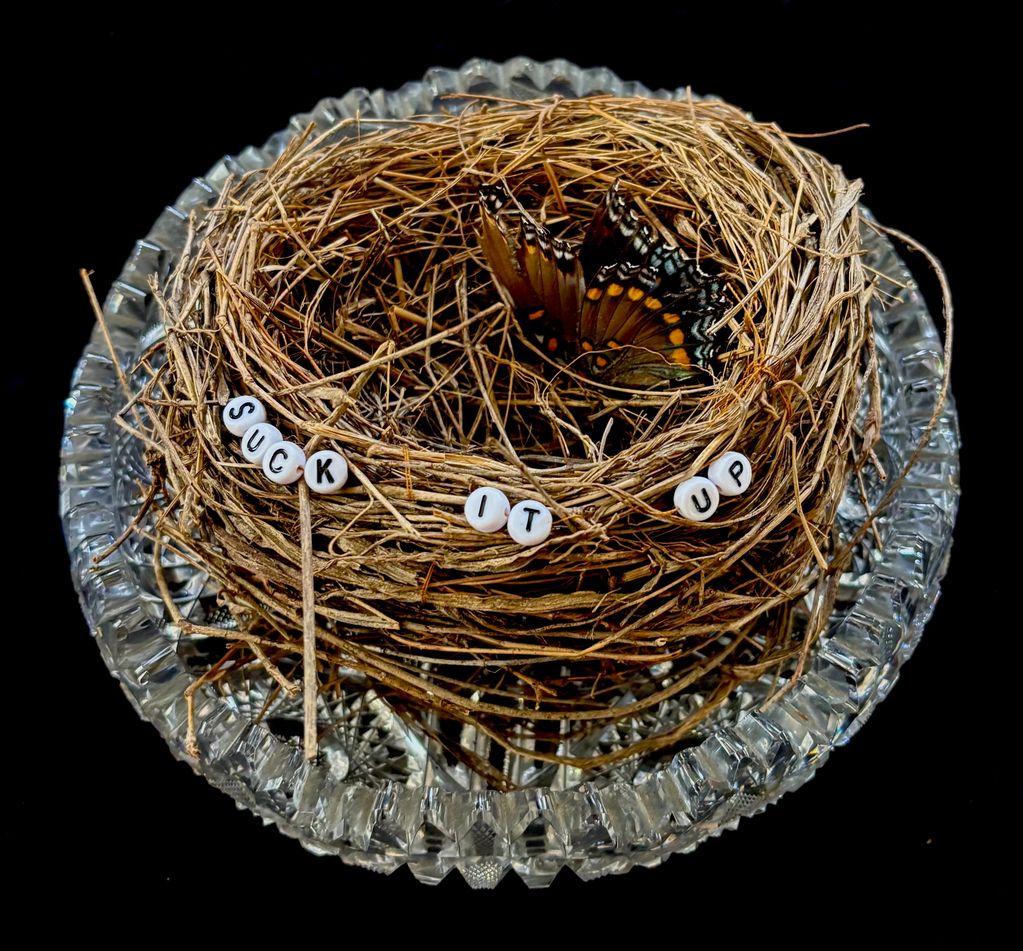 Plastic beads spelling out "Suck It Up" sewing on to a nest and placed in a vintage glass bowl. #nes