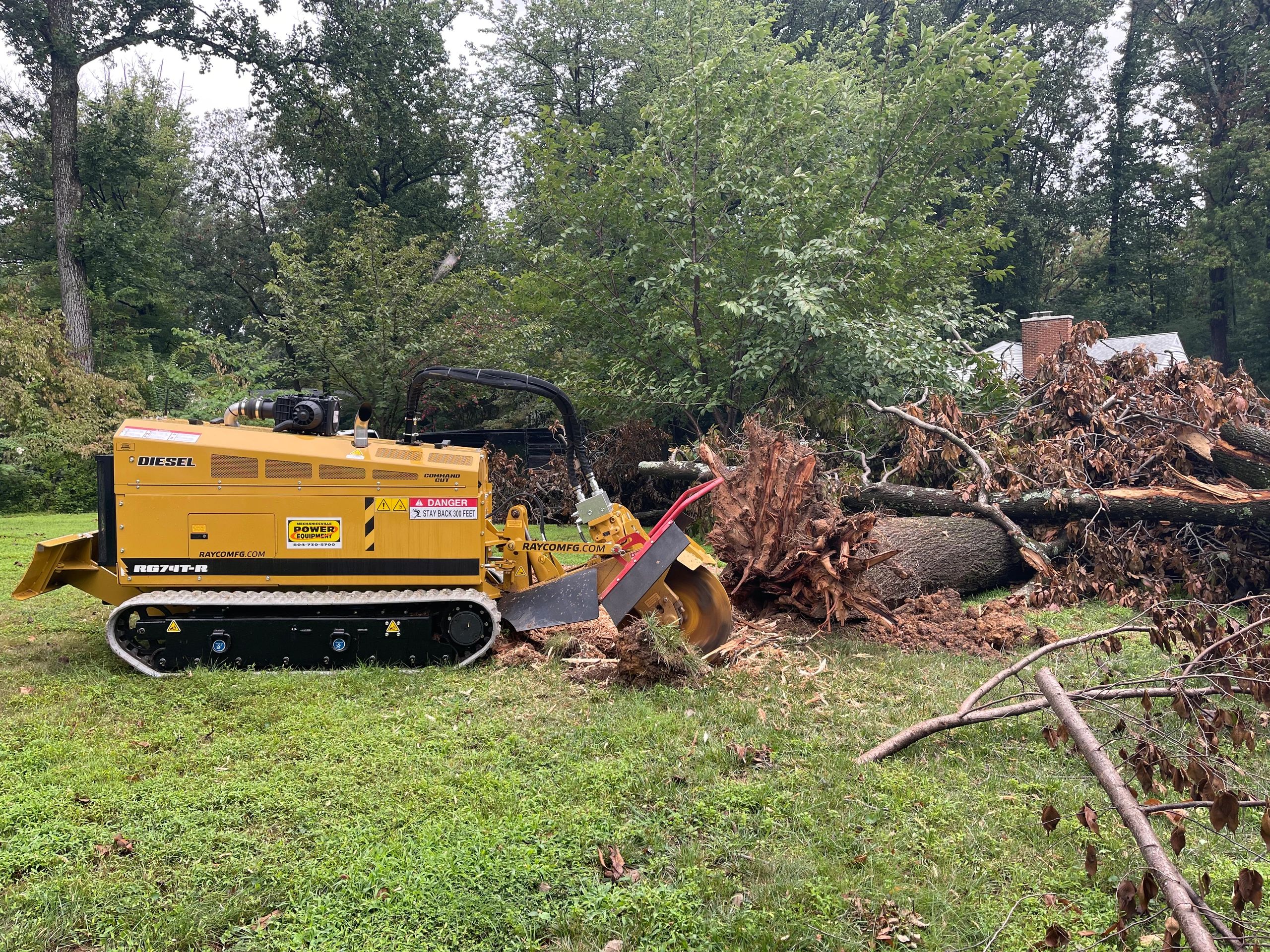 Effective Tree Stump Removal - Laurel, MD - Affordable Tree Service