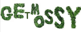 getmossy