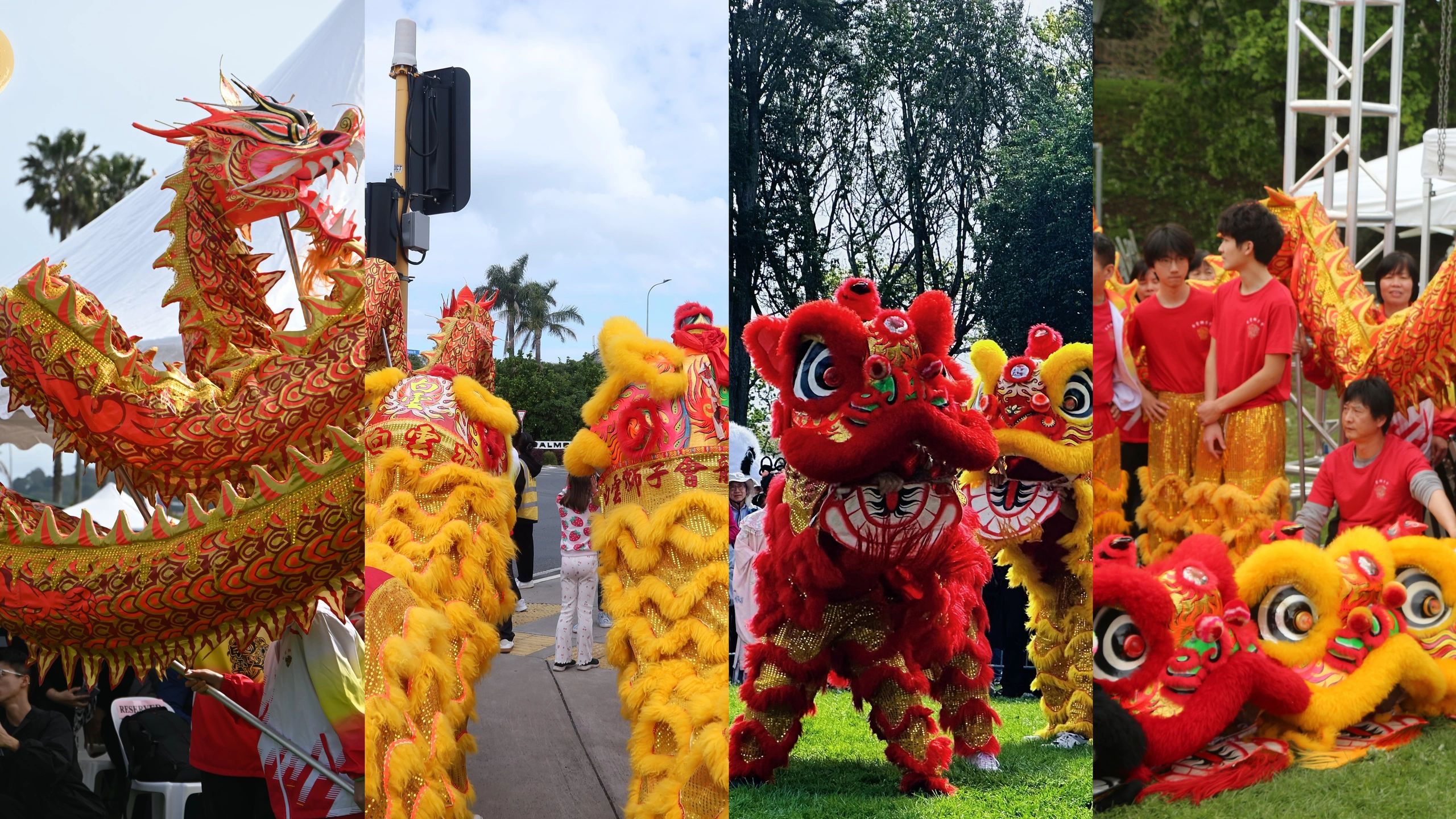 Colorful dragon and lion dance at a festival.