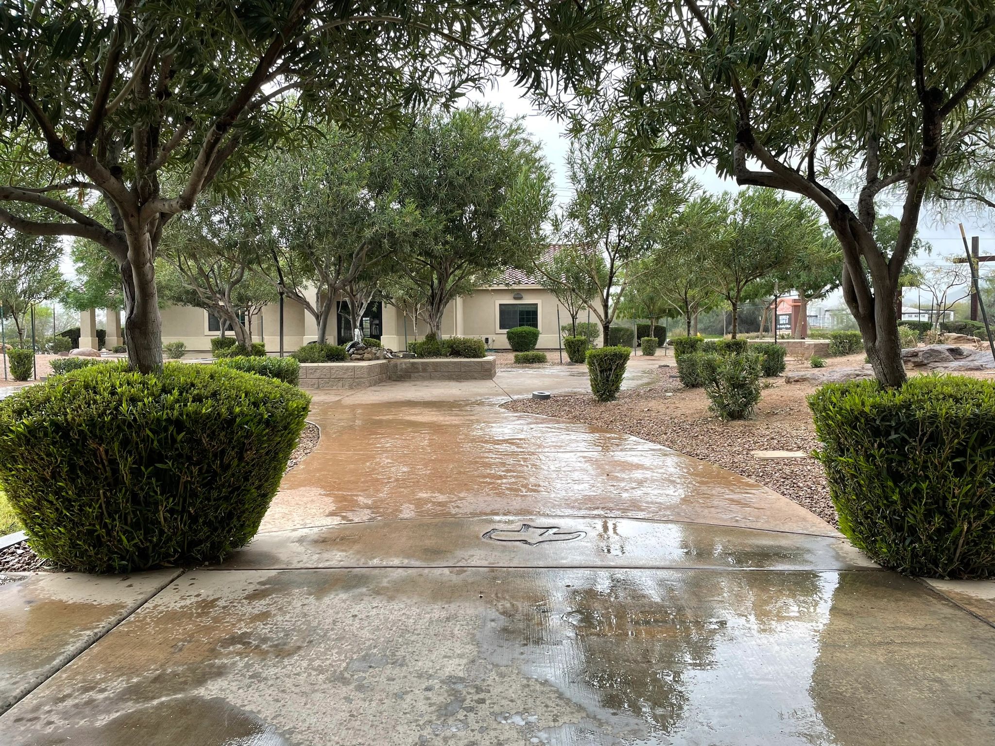 Expert Landscaping Arizona Services You Can Trust