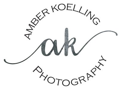 Wedding Photography Wedding Planning Brides Engaged Photographers 