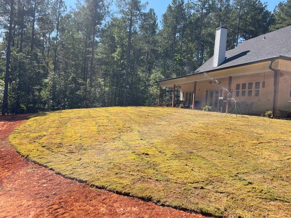 Newly laid sod on a backyard lawn next to a house and trees.