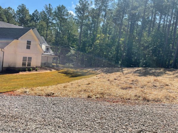 A white house beside a grassy yard and a gravel driveway with tall trees in the background.