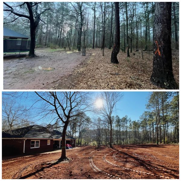 Comparison of a wooded area before and after clearing and land preparation.