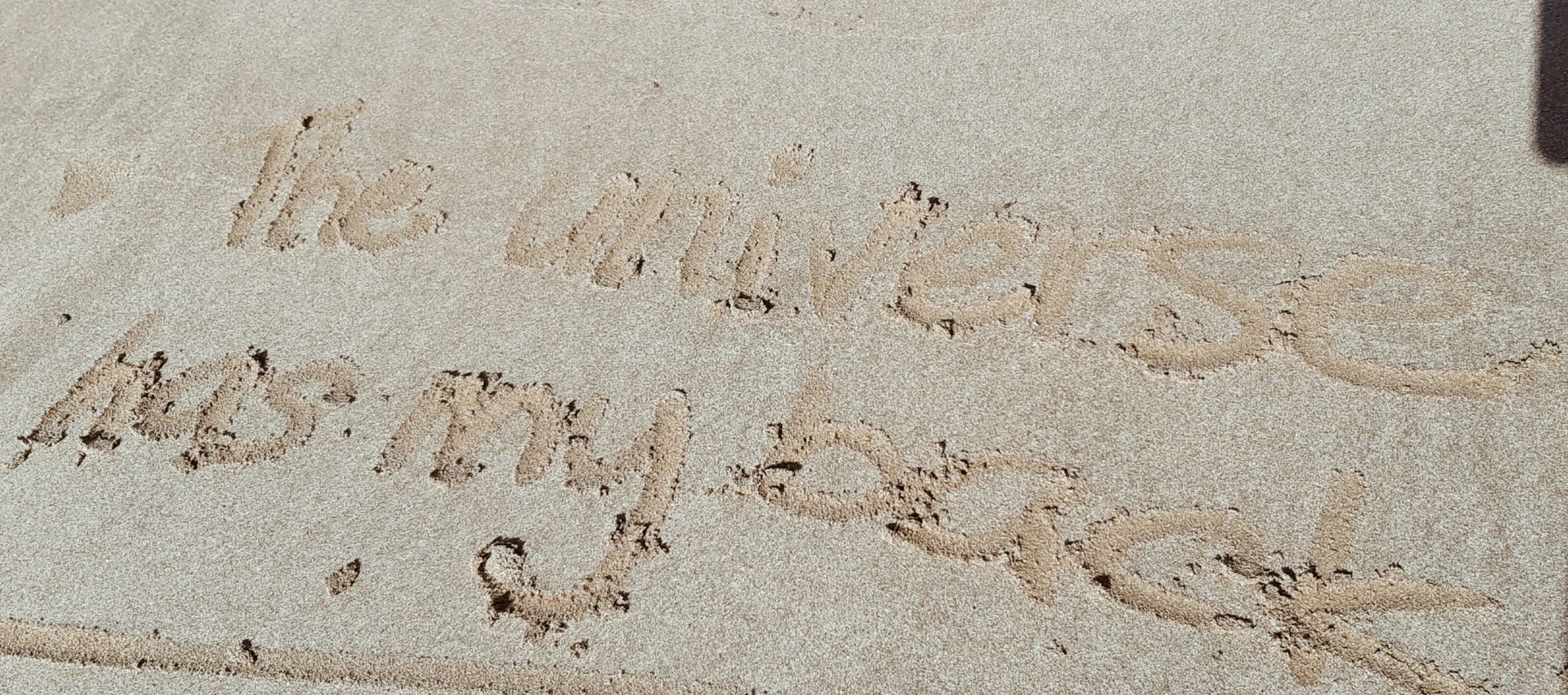 Herbal Remedies for Health Heart of Bilje