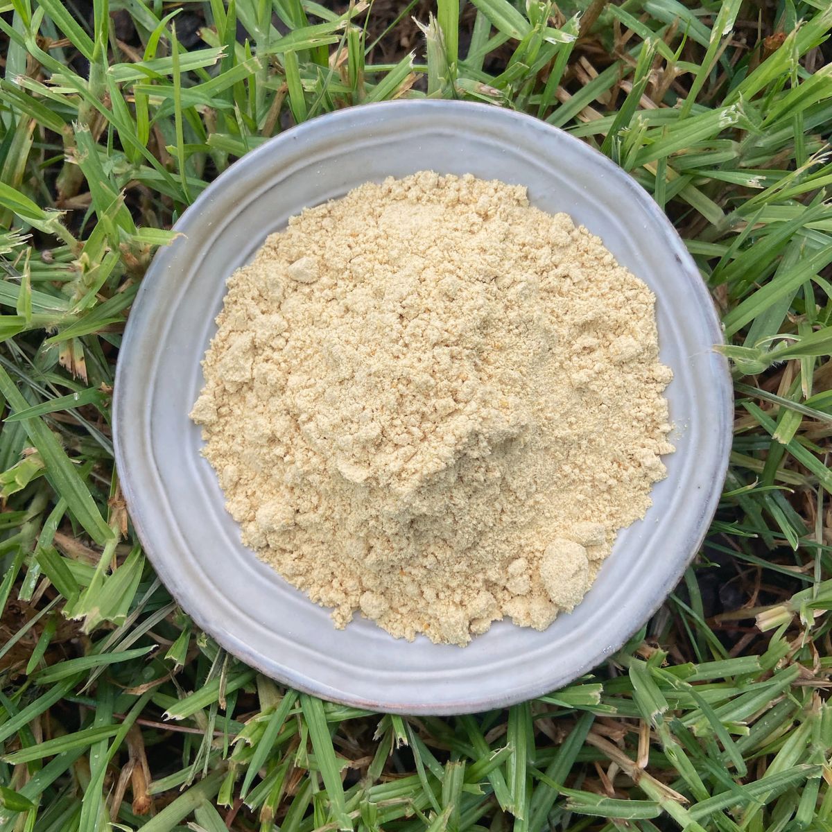 Senf samenmehl Bio by Almicanna Mustard Seed Meal