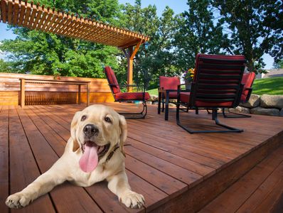 Power washed and stained deck, sealed and waterproof