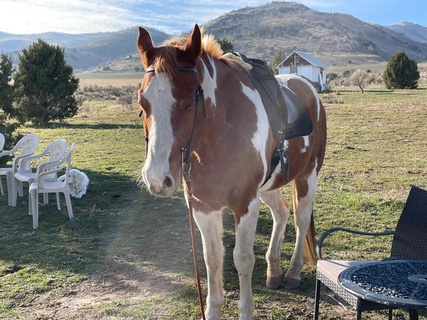 Jasper Ridge Ranch